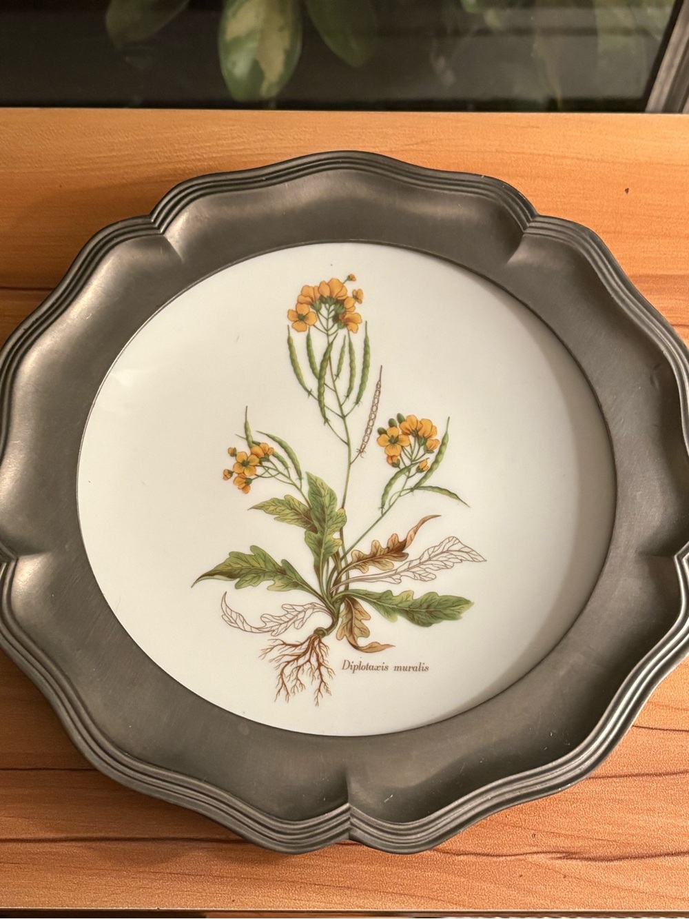 White Ceramic Plate with Yellow botanical florals & Pewter Rim. Can hang on wall